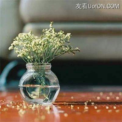 皮尔磁:轻松实现光栅屏蔽功能的...